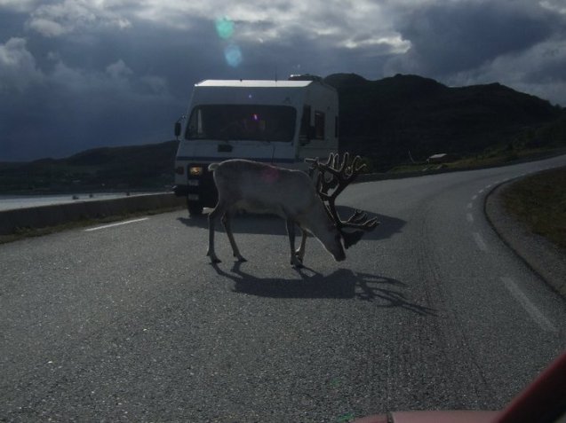 © Marek Nusl, doinitonline.com 'Murmansk Challenge'