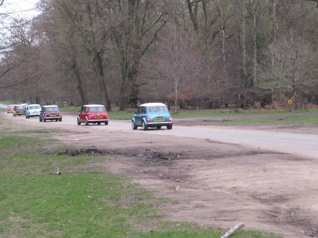 Cute little bugs: Mini Rally in Ashrdige, Hertfordshire. Yesterday