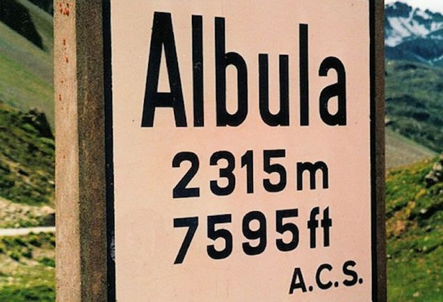 Albula: not what you thnk