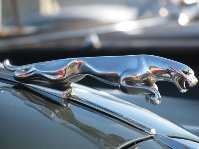 Fontainebleau. A line of incredible classic cars - Ferrari, Bugatti, Aston, Alfa and Jaguar - appears outside the breakfast window. The Turin Auto d'Epoca is on its annual jaunt across the Alps to Paris. What's the lesson here? Nothing really, just the magic sometimes of being on holiday.