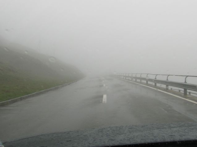 Do you think we should turn round? Drive in the middle of the road.