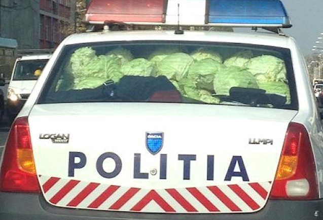 Police in Bucharest confiscated cabbage from an illegal seller yesterday and had no choice but to transport the contraband themselves.