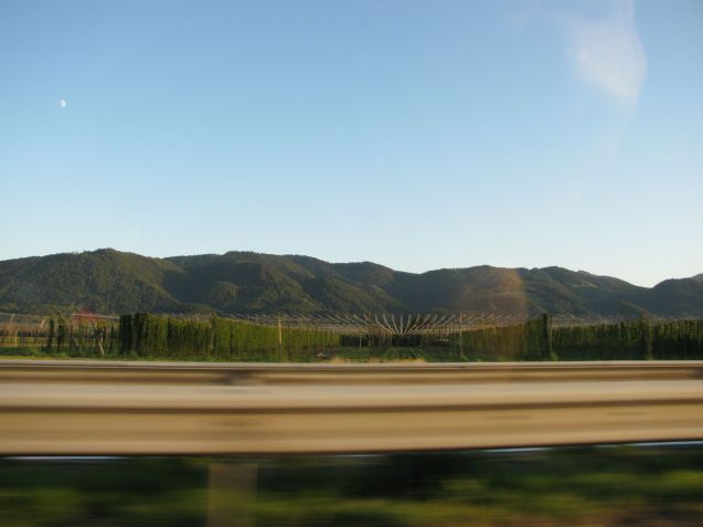 There are nearly 30,000 vineyards in Slovenia, most of them in this eastern half of the country, though most of the product is drunk domestically. Slovenia was always considered the prosperous, business-oriented part of Yugoslavia. Recently however it’s been plunged into a late onset Credit Crunch and its banks are a mess.