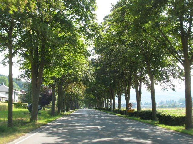 Bettendorf, northern Luxembourg. All photos by @DriveEurope. More below.