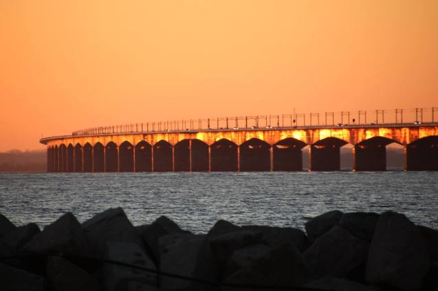 10830826_10150459034934987_7224843761054877724_ob